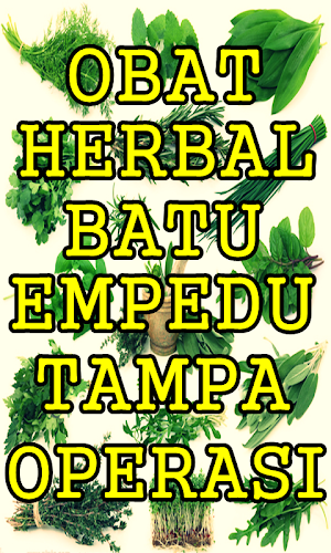 Cara Mengobati Batu Empedu Den Screenshot 2