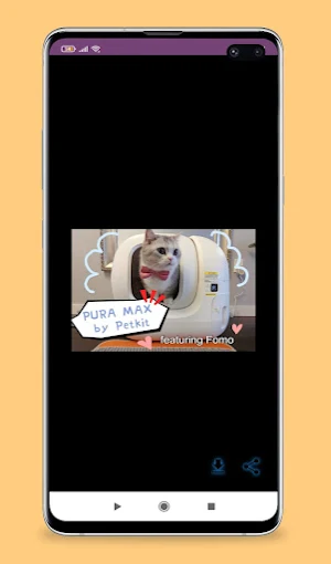self cleaning litter box guide Screenshot 0