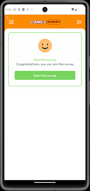 Camel Survey Screenshot 3