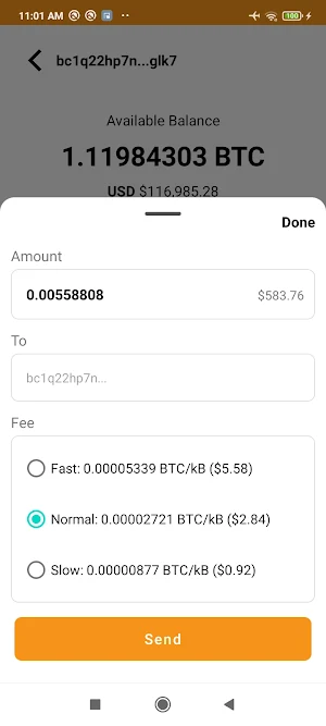 Satoshi Wallet Screenshot 1