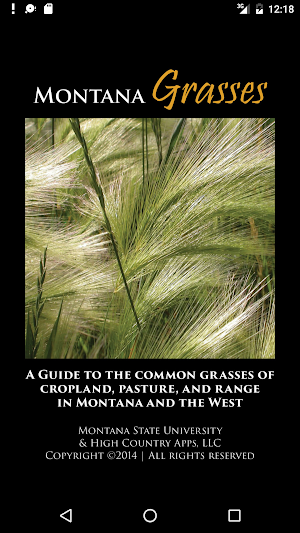 Montana Grasses Screenshot 0