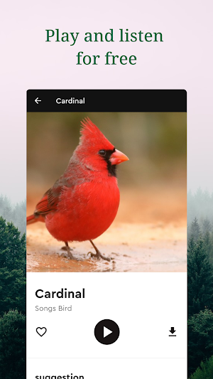 Sound of Bird: Natural Habitat Screenshot 3