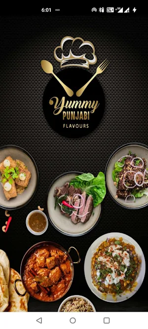 Yummy Punjabi Screenshot 0
