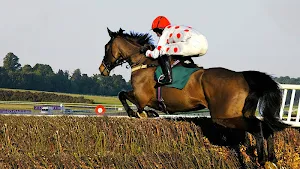 Real Horse Run Screenshot 3