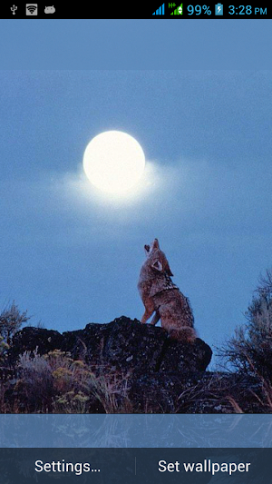Multi Screen Dogs Live Images Screenshot 0