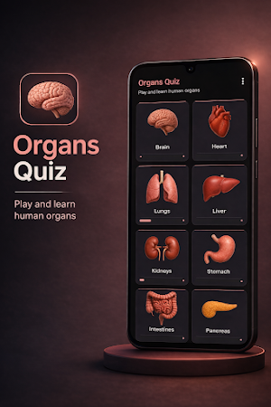 Organs Quiz Screenshot 1