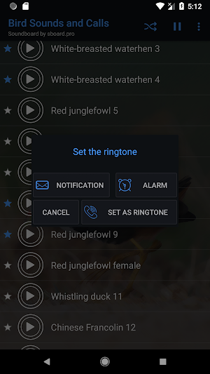 Bird Sounds and Calls ~ Sboard.pro Screenshot 2