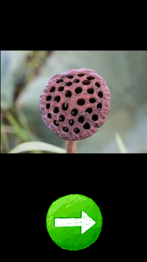 Fear of Holes  Trypophobia TES Screenshot 2
