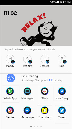 Felix The Cat Screenshot 2