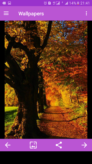 HD Wallpapers (Backgrounds) Screenshot 0