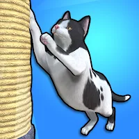 Purrfect Paws