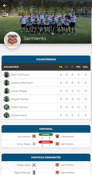 TORNEOS DANY Screenshot 1