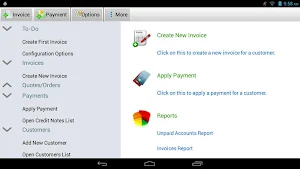 Express Invoice Plus Screenshot 2