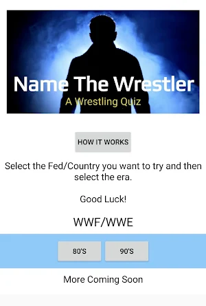 Name The Wrestler Screenshot 2