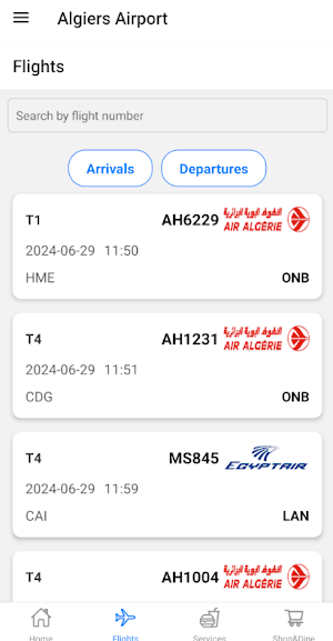 Algiers Airport Screenshot 1