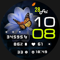 ML2U 189 Watch Face