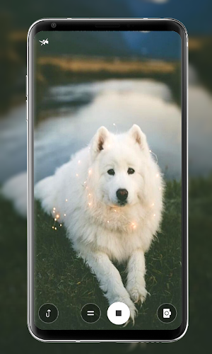 Dog Wallpapers Screenshot 3