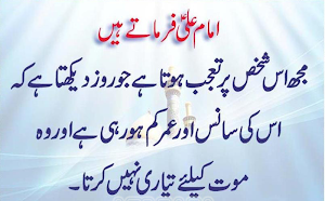 Nahjul Balagha in Urdu Screenshot 1