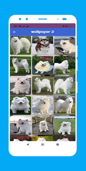 white dog wallpaper Screenshot 2