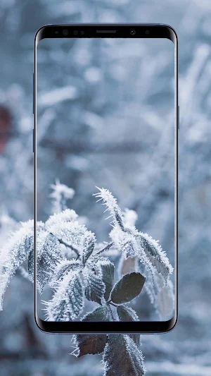 Snow Wallpapers and Backgrounds Screenshot 3