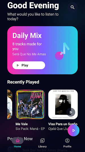 Music player Screenshot 0