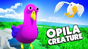 Opila Bird Wallpapers 4K HD Screenshot 3