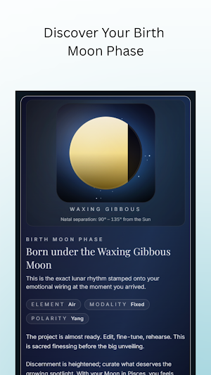 Artistic Birth Chart & Kundli Screenshot 3
