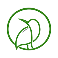 تودي