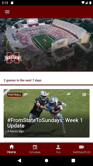 Hail State Screenshot 0