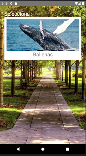 Rompecabezas de Ballenas Screenshot 0