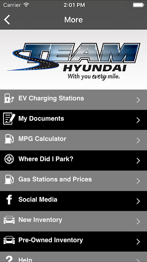 Team Hyundai Screenshot 2