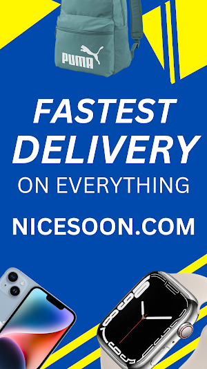 Nicesoon.com Screenshot 0
