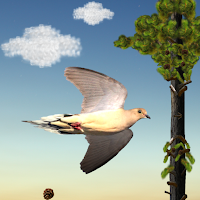 PomPom Fly
