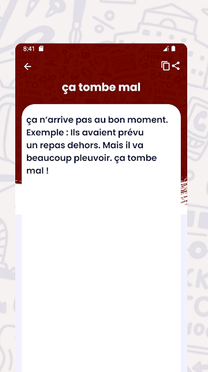 Dictionnaire des Expressions Screenshot 2