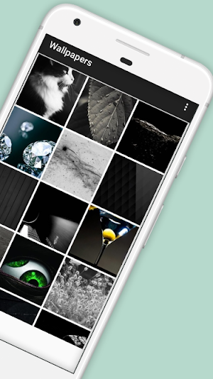 Dark Wallpapers Screenshot 2