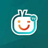 Burmesee TV App Workflows