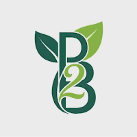 P2Be