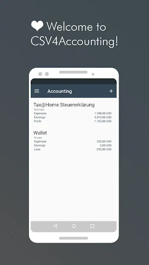 Accounting CSV: super simple to track finances Screenshot 0