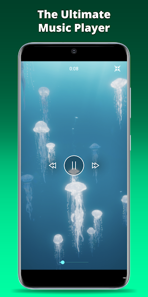 Luminant Music Player Screenshot 0