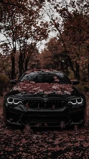 BMW 8 Series Wallpapers Screenshot 2