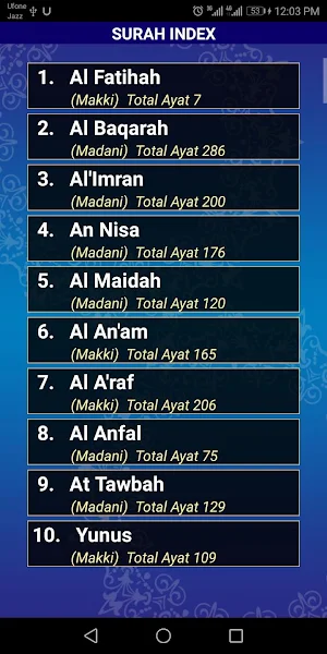 16 Line Quran Kareem -16 Lines per page Screenshot 2