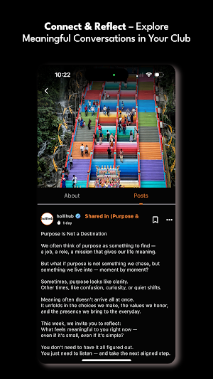 Hoilihub Screenshot 3