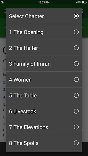 Quran In English Audio Screenshot 2