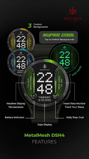 MetalMesh Digital DSH4 Screenshot 1