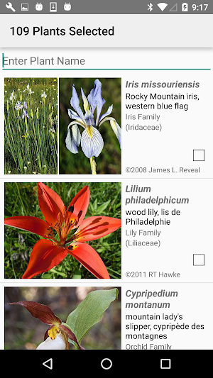 Alberta Wildflowers Screenshot 1
