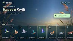 Windmere: Bird Arcade Screenshot 0