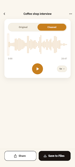 NoisyNo: Voice Noise Remover Screenshot 2