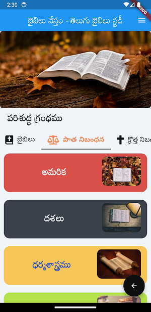 About Bible Screenshot 2