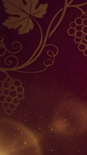 Casino Secret Screenshot 0