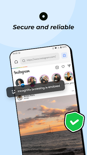Private Browser-AI Screenshot 2